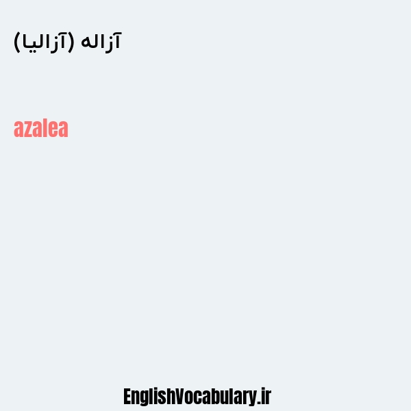 معنی و ترجمه "آزاله (آزالیا)" به انگلیسی