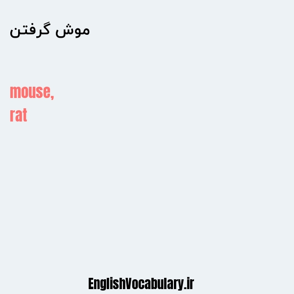 معنی و ترجمه "موش گرفتن" به انگلیسی