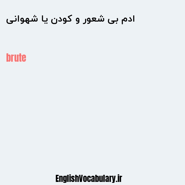 ادم بی شعور و کودن یا شهوانی به انگلیسی