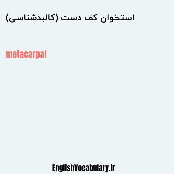 استخوان کف دست (کالبدشناسی) به انگلیسی