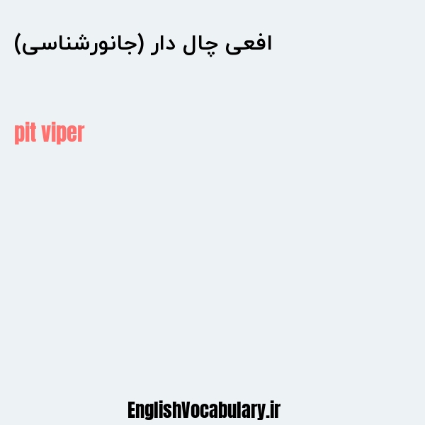 افعی چال دار (جانورشناسی) به انگلیسی