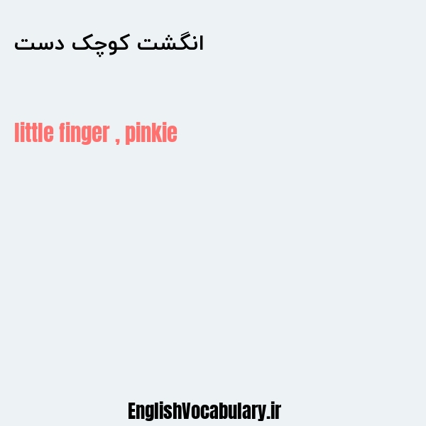 انگشت کوچک دست به انگلیسی