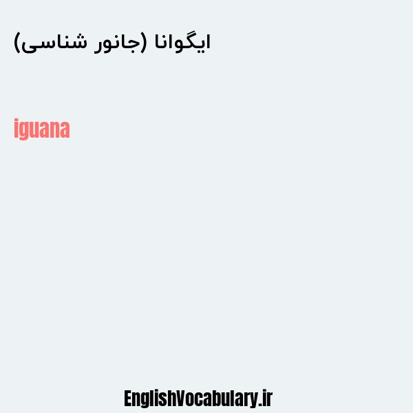 ایگوانا (جانور شناسی) به انگلیسی