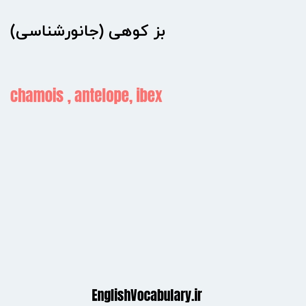 بز کوهی (جانورشناسی) به انگلیسی