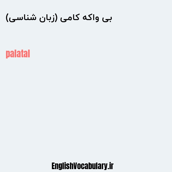 بی واکه کامی (زبان شناسی) به انگلیسی