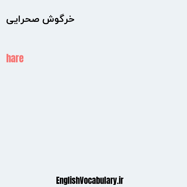 خرگوش صحرایی به انگلیسی