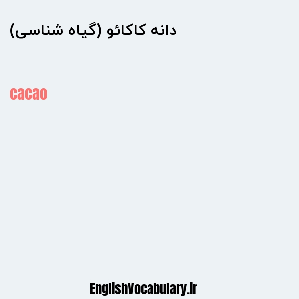 دانه کاکائو (گیاه شناسی) به انگلیسی