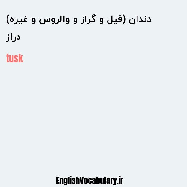 دراز دندان (فیل و گراز و والروس و غیره) به انگلیسی