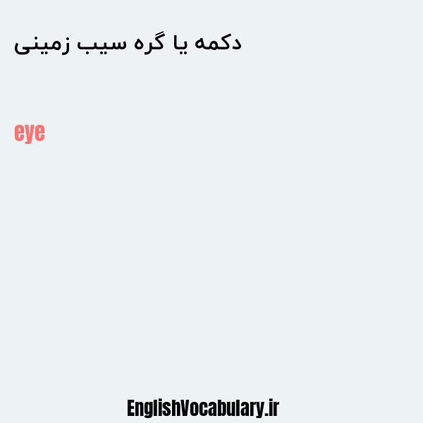 دکمه یا گره سیب زمینی به انگلیسی