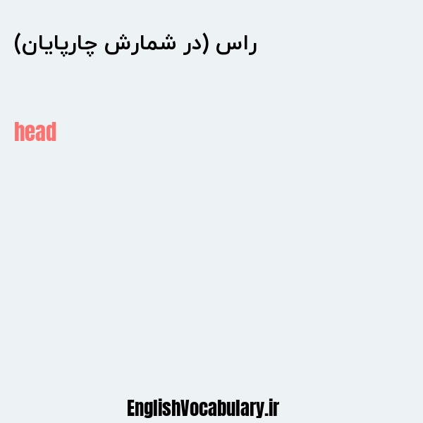 راس (در شمارش چارپایان) به انگلیسی