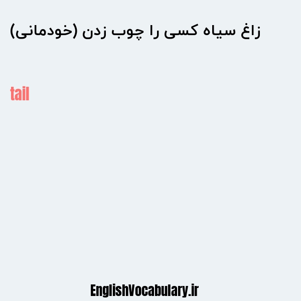 زاغ سیاه کسی را چوب زدن (خودمانی) به انگلیسی