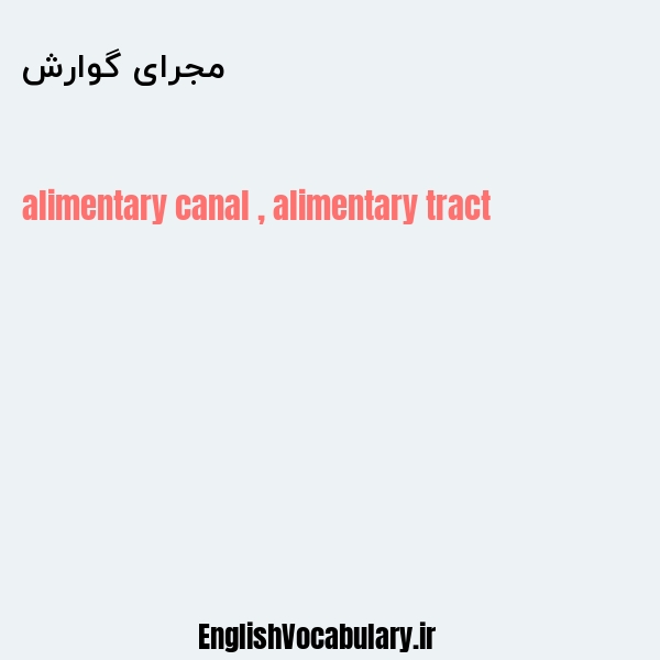 مجرای گوارش به انگلیسی