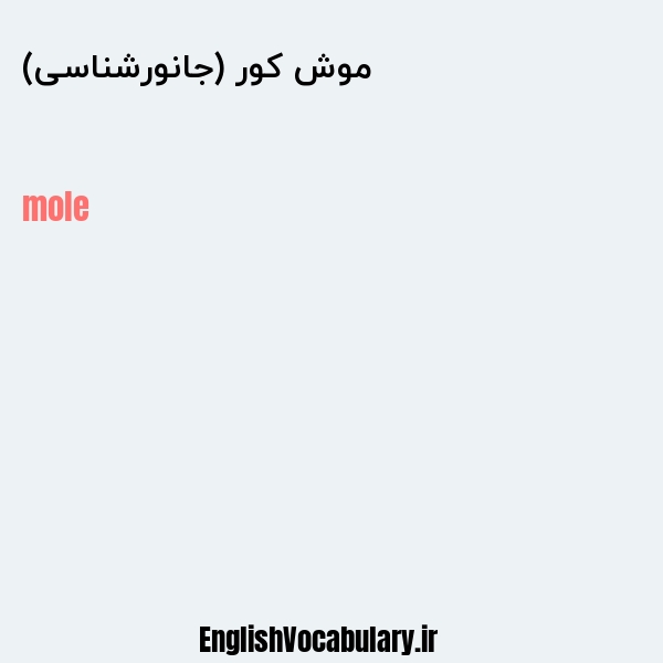 موش کور (جانورشناسی) به انگلیسی