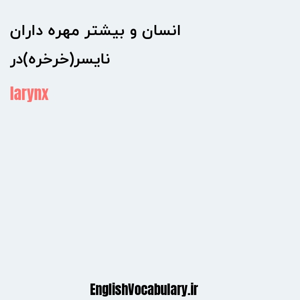 نایسر(خرخره)در انسان و بیشتر مهره داران به انگلیسی