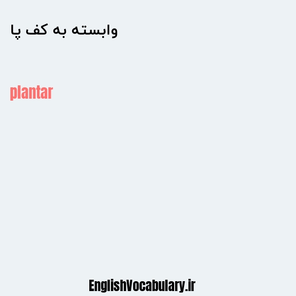 معنی و ترجمه "وابسته به کف پا" به انگلیسی