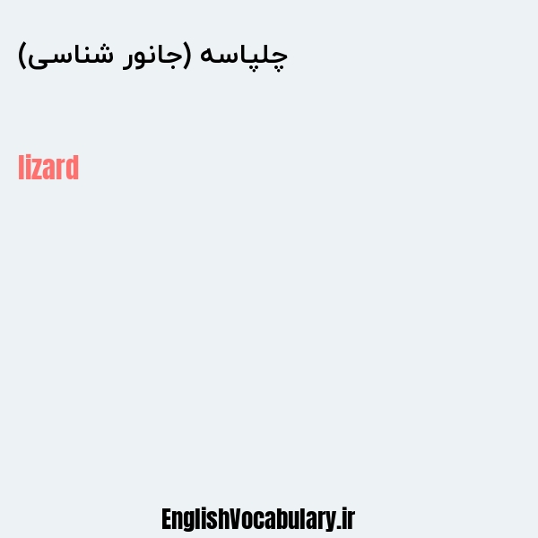 چلپاسه (جانور شناسی) به انگلیسی