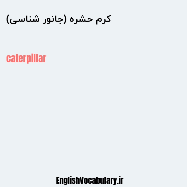 کرم حشره (جانور شناسی) به انگلیسی