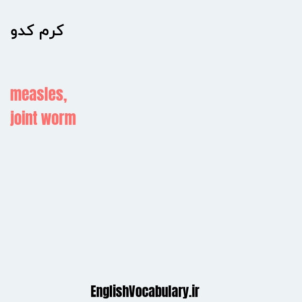 کرم کدو به انگلیسی