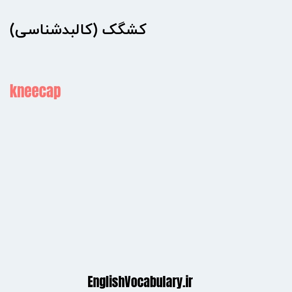 کشگک (کالبدشناسی) به انگلیسی