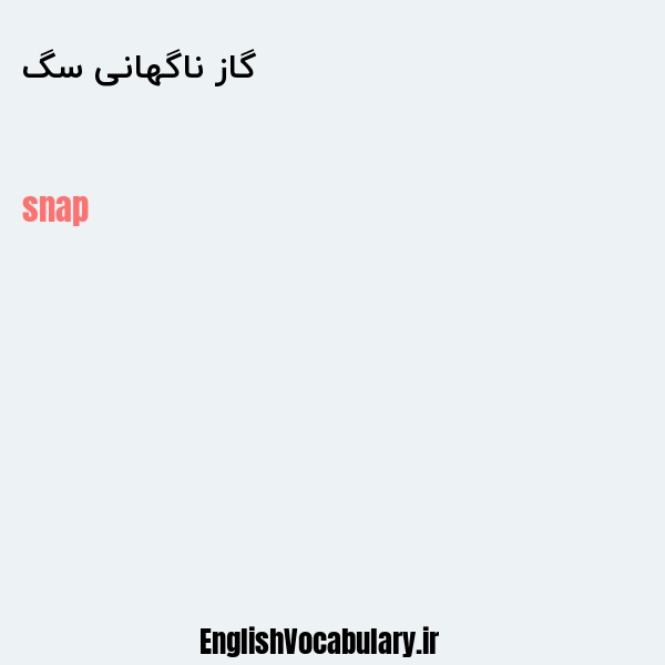 گاز ناگهانی سگ به انگلیسی