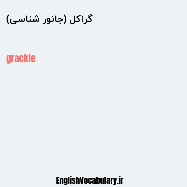 گراکل (جانور شناسی) به انگلیسی